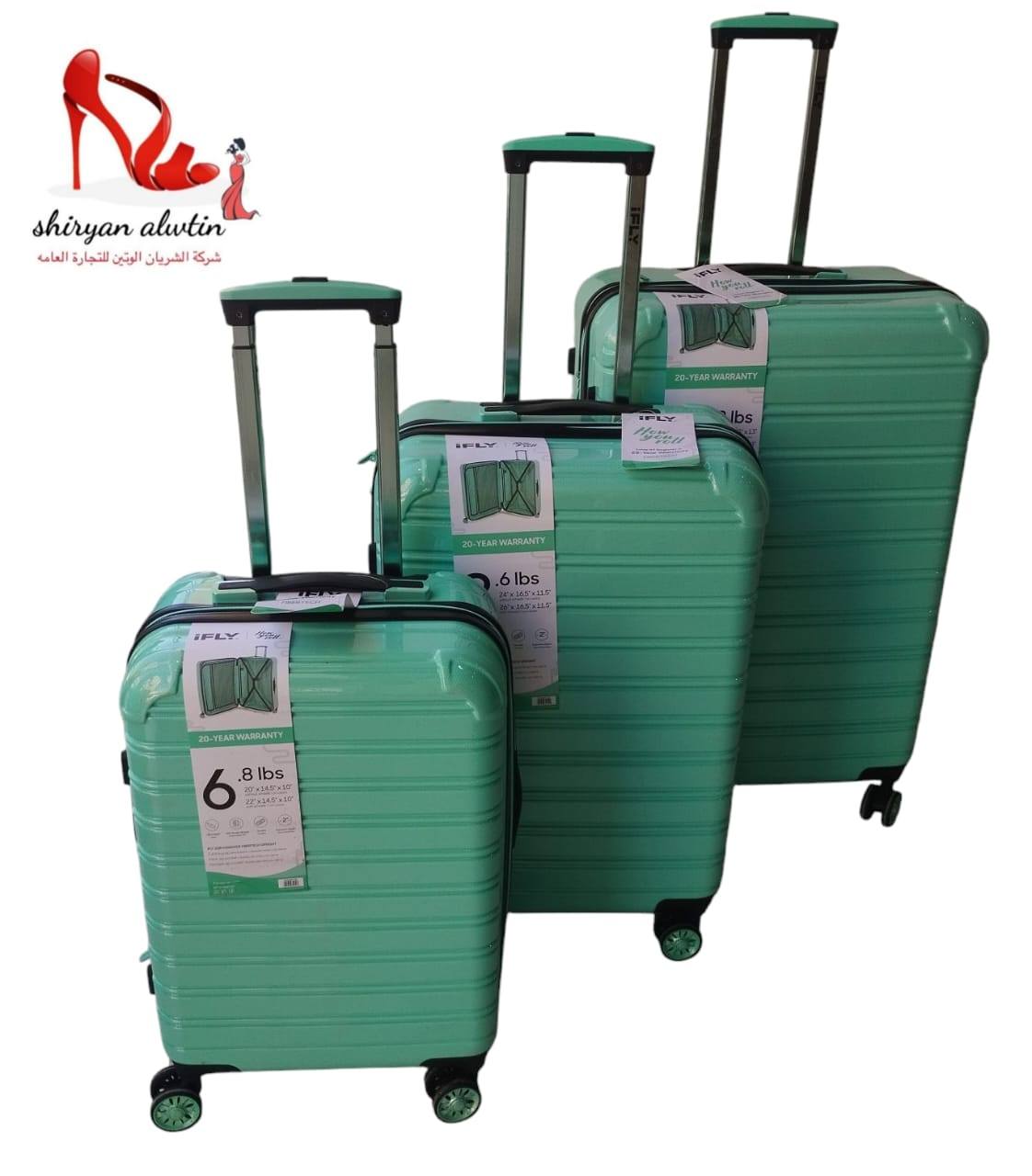 Mint Green Luggage Set with Wheels
